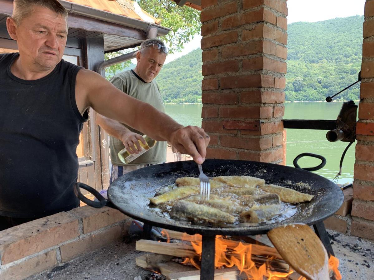 Dunavska Vila Milosavljevic ドニー・ミラノヴァツ エクステリア 写真